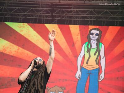 Alborosie, &apos;Sound the system&apos;: &apos;Un disco reggae, fedele alla linea&apos;