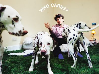WHO CARES? Rex Orange County