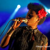 5 luglio 2016 - Blues in Villa - Parco di Villa Varda - Brugnera (Pn) - Incognito in concerto