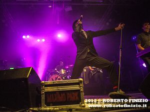 Maximo Park