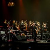 29 novembre 2021 - Teatro EuropAuditorium - Bologna - Le Vibrazioni in concerto