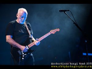 David Gilmour