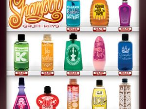 HOTEL SHAMPOO Gruff Rhys