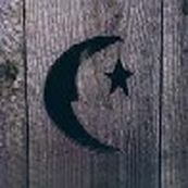 Phish - FARMHOUSE