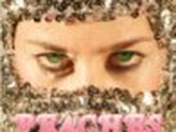 Peaches: sesso, nudit&agrave; totale e atti osceni per il video di &#039;Rub&#039; - GUARDA