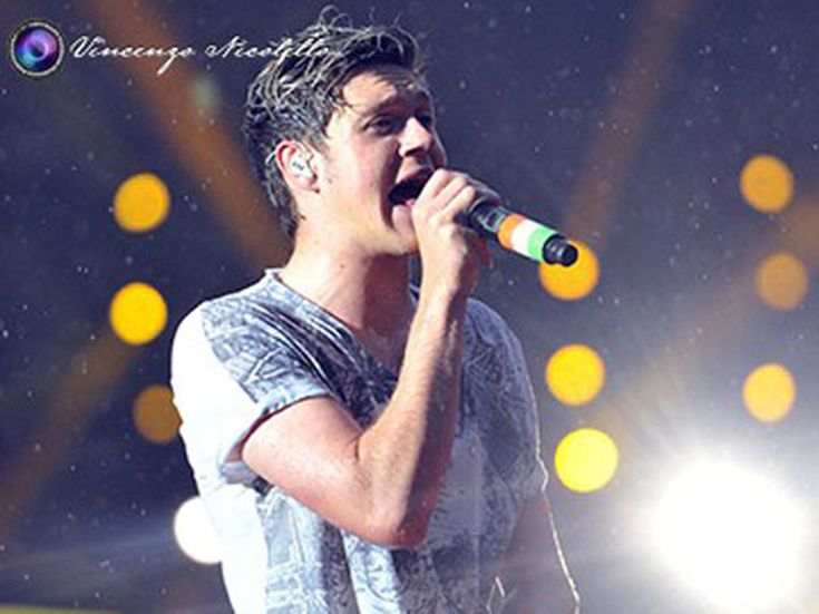 Una fan fiction sugli One Direction ottiene un contratto editoriale da favola