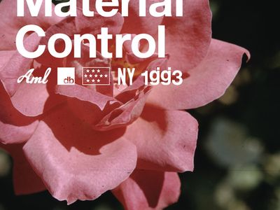 I Glassjaw in studio: Wesley Willis dedica loro una canzone