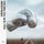 ROLL WITH THE PUNCHES Bryan Adams