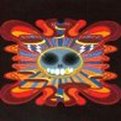 Super Furry Animals - HEY VENUS!