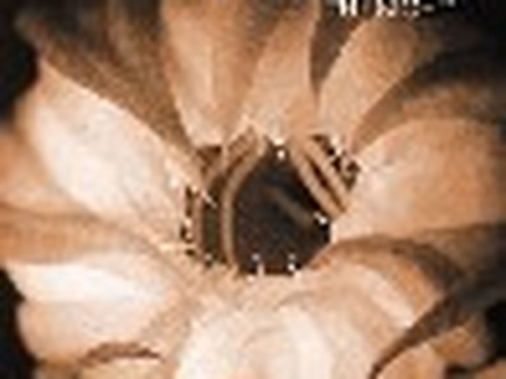 Due CD e un DVD per ricordare Mark Sandman