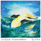 Jolie Holland - PINT OF BLOOD