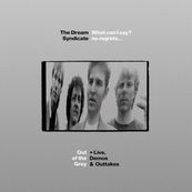 Dream Syndicate - WHAT CAN I SAY? NO REGRETS... OUT OF THE GREY + LIVE, DEMOS &amp; OUTTAKES (DELUXE EDITION)