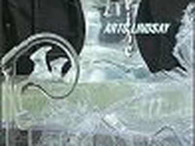 &apos;Salt&apos;, il nuovo disco di Arto Lindsay: stregato dal Carnevale