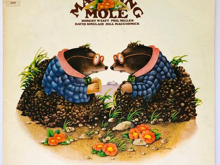 Matching Mole