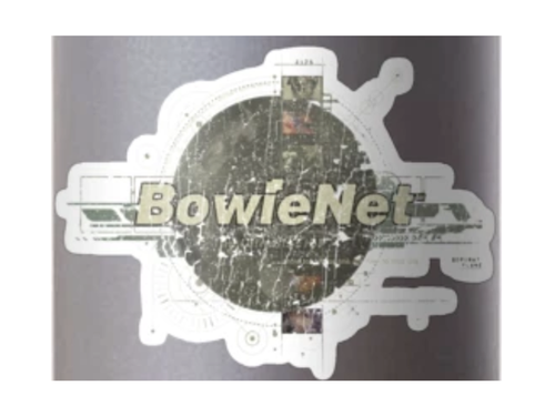 Bowie lancia BowieNet 