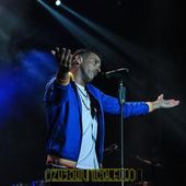 20 giugno 2017 - GruVillage - Grugliasco (To) - Francesco Gabbani in concerto