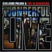 Giuliano Palma - THE WONDERFUL LIVE