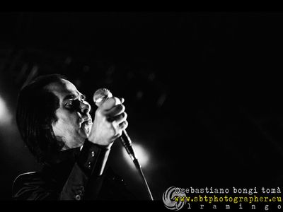 Nick Cave