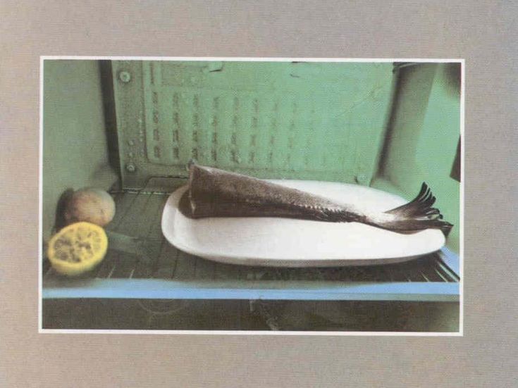 Francesco De Gregori, in un libro la sua storia e le canzoni inedite