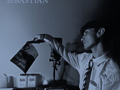 LATE DEVELOPERS Belle & Sebastian
