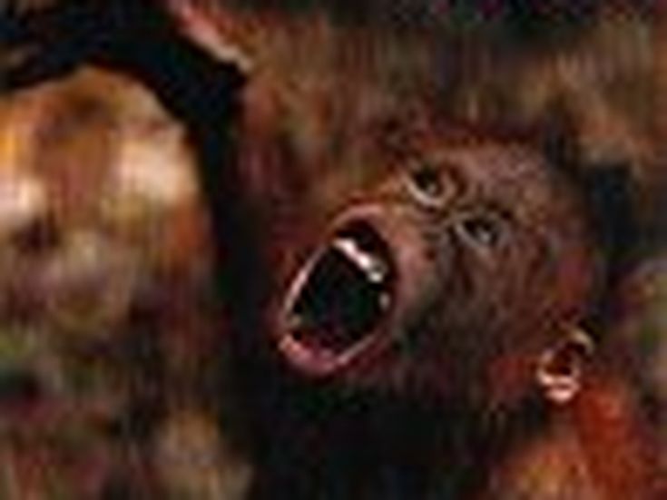 Voci: Johnny Depp dal vivo sul palco con i Baby Bird a Londra