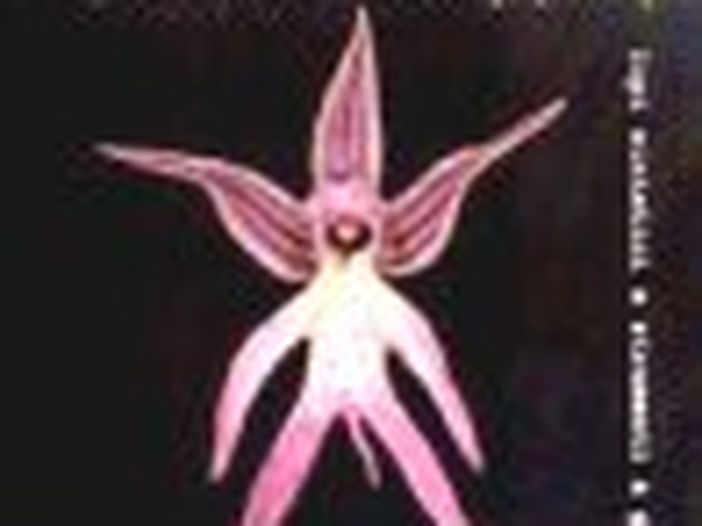 &#039;Area&#039; nuova in casa Fariselli