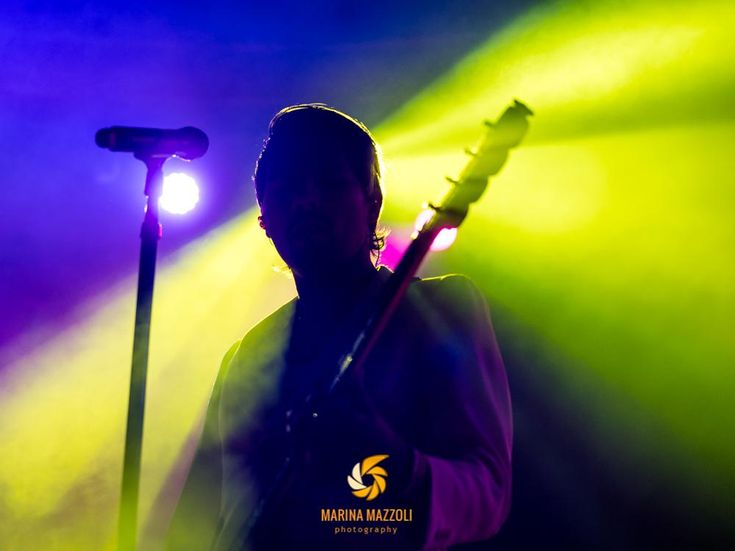 artista in concerto
