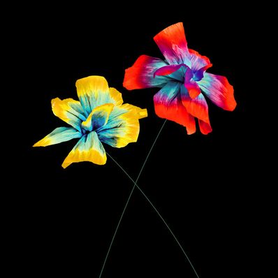 COSÌ SPECIALE Diodato