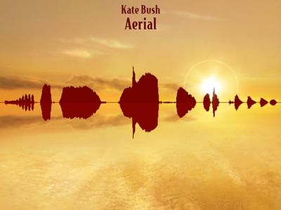 Kate Bush dopo l&apos;ultimo concerto: &apos;Passerà un po&apos; prima che torni sul palco&apos;