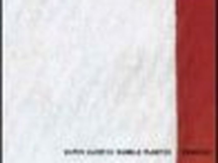 Terzo album per i Super Elastic Bubble Plastic Terzo album per i Super Elastic Bubble Plastic