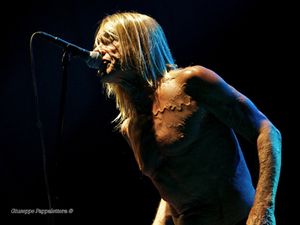 Iggy Pop