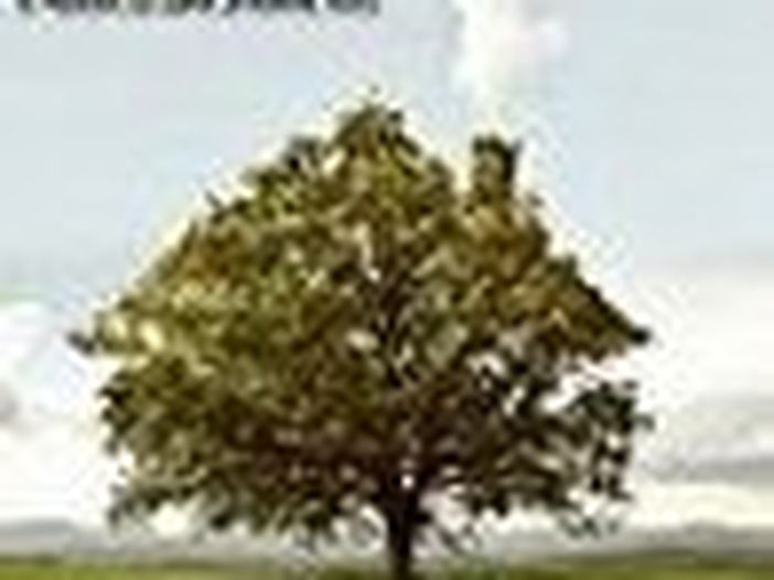 &#039;Meccanismi&#039; &egrave; pronto l&#039;album d&#039;esordio de Il Nucleo