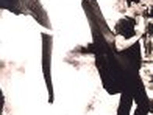 Bryan Adams accusato di plagio da un autore romano
