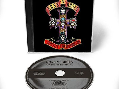 Guns N’Roses: a sorpresa è ‘Japanese democracy’