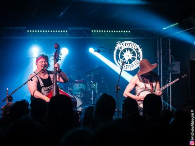 Steve'n'Seagulls