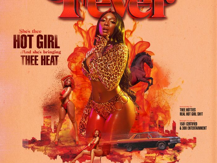 Megan Thee Stallion, giallo su un arresto e una sparatoria Megan Thee Stallion, giallo su un arresto e una sparatoria