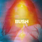 Bush - BLACK AND WHITE RAINBOWS