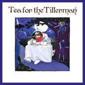 Cat Stevens/Yusuf Islam - TEA FOR THE TILLERMAN 2