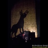 25 febbraio 2017 - La Citt&agrave; del Teatro - Cascina (Pi) - Vinicio Capossela in concerto