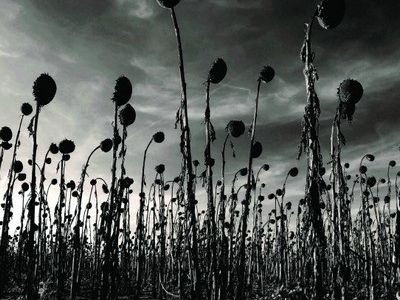 In un cofanetto la carriera dei Dead Can Dance