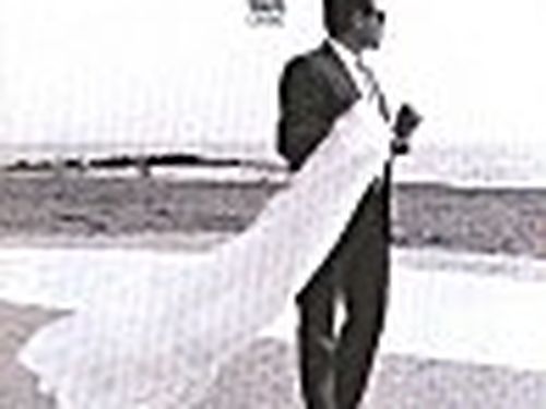 ‘Grey Cat Festival’ in Toscana