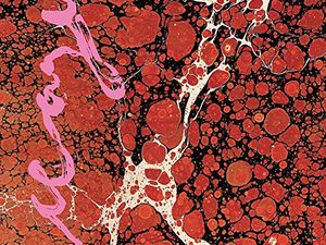 Concerti, Iceage: tre date in Italia a novembre