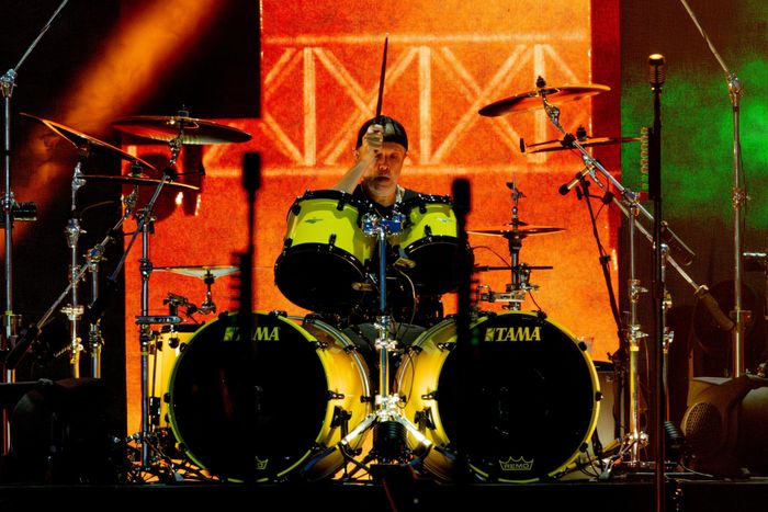 I Nostri 10 Migliori Piume Struzzo Bianche In Italia - Luglio - Foto 6