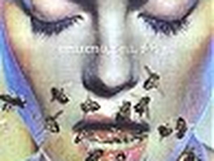 Tornano i Collective Soul: anche loro da indipendenti