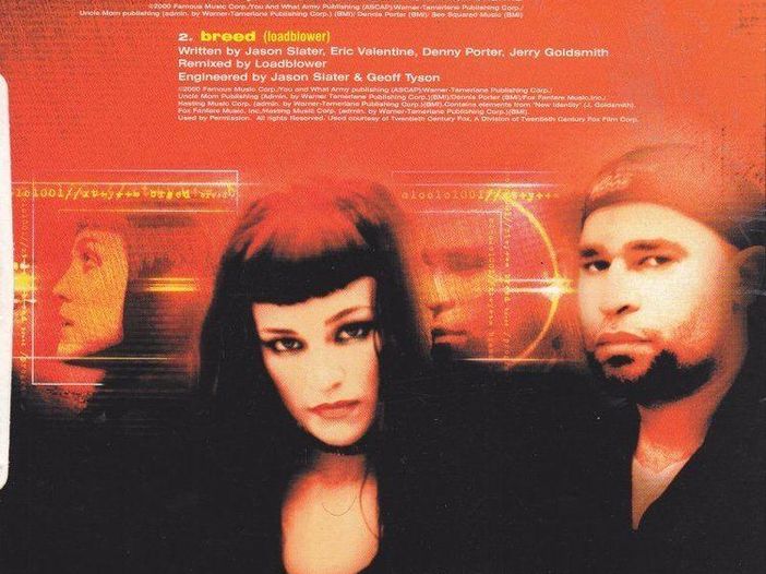 Snake River Conspiracy costretti ad annullare il tour