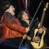 5 giugno 2025 - Visarno Arena - Firenze - Vasco Rossi in concerto