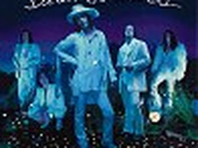 I fratelli Robinson (Black Crowes) di nuovo insieme: per una sera soltanto