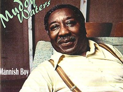 Muddy Waters