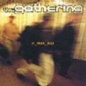 Gathering - IF_THEN_ELSE Gathering - IF_THEN_ELSE