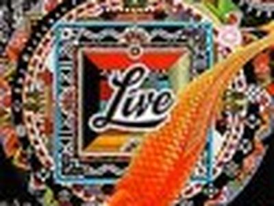 THE DISTANCE TO HERE Live